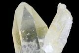 Quartz Crystal Cluster - Brazil #80983-2